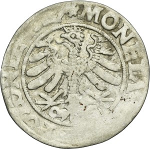 Sigismund I the Old, Groschen Krakau 1527