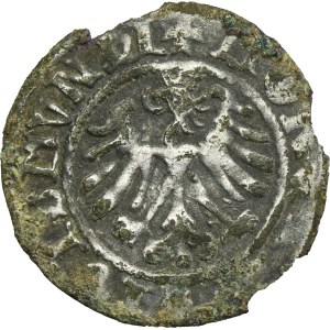 Sigismund I the Old, 1/2 Groschen Krakau 1507 - FORGERY FROM THE ERA
