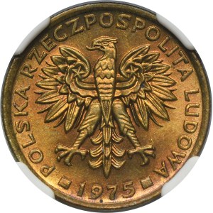 2 gold 1975 - NGC MS64