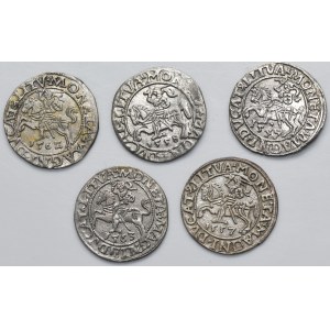 Set, Sigismund II Augustus, 1/2 Groschen Vilnius (5 pcs.)