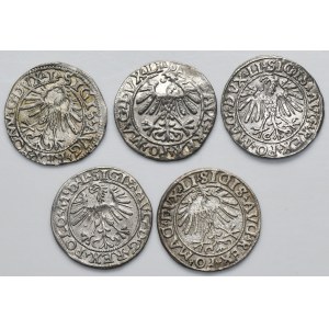 Set, Sigismund II Augustus, 1/2 Groschen Vilnius (5 pcs.)
