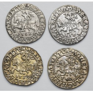 Lot, Sigismund II August, 1/2 Groschen Vilnius (4 pcs.)