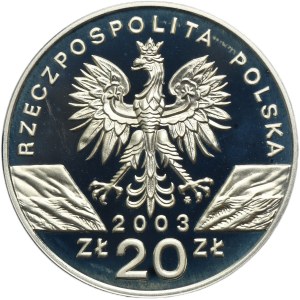 20 gold 2003 European eel