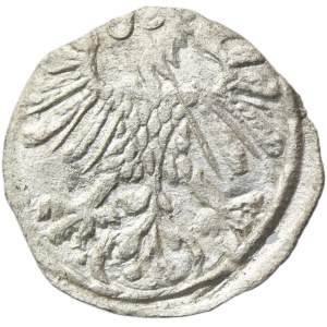 Sigismund II August, Denarius Vilnius 1550 - RARE