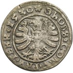 Sigismund I the Old, Groschen Thorn 1530 - PRV TERR - UNLISTED