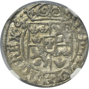 Elbing under Sweden, Gustav II Adolf, 3 Polker Elbing 1630 - NGC AU58
