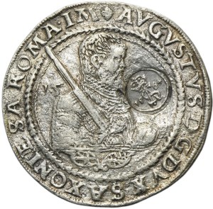 MAJNERT, Zygmunt II August, Talar Sumy Neapolitańskie 1564