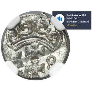 Sigismund II August, Denarius Danzig 1558 - NGC MS64