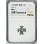 Sigismund II August, Denarius Danzig 1558 - NGC MS64