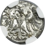 Sigismund II August, Denarius Danzig 1558 - NGC MS64