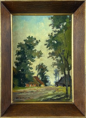 Teodor ZIOMEK (1874 - 1937), Pejzaż