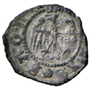 Savona - Tommaso di Campofregoso (1438-1440 e 1...