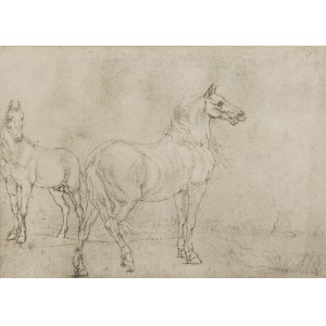 Paulus POTTER (1625-1654) - d'après, Une paire de chevaux