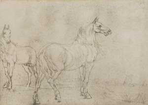 Paulus POTTER (1625-1654) - według, Para koni