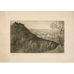 Józef Pieniążek (1888-1953), Krzemieniec. Ogólny widok, 1927
