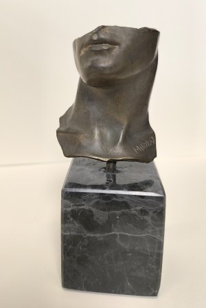 IGOR MITORAJ 