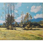JANUSZ SALWIERAK  PAESAGGIO