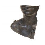 Igor Mitoraj " Stella "
