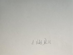 Andrzej Dziubek pseud. Nebb (ur. 1954), Bez tytułu