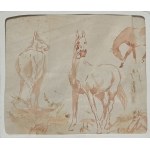 Jacek Malczewski (1854–1929), Study of Horses, 1872