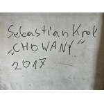 Sebastian Krok, Chowany, 2017