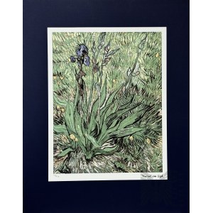 Vincent van GOGH (1853-1890), Irises, (1889)