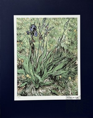 Vincent van GOGH (1853-1890), Irysy, (1889)