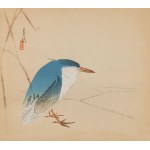 Ogata GEKKO