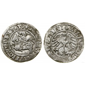 Polska, półgrosz, 1515, Wilno