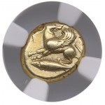 Mysia (Kyzikos) Electrum Hecte (c.550-450 BC) - NGC Ch VF