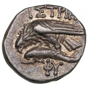 Moesia (Istros) AR Drachm, 4th century BC