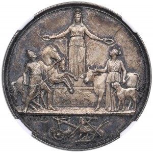 Finland (Russia) Silver Prize Medal ND (Late 19th - early 20th century) - Vasa County Agricultural Society - NGC MS 63