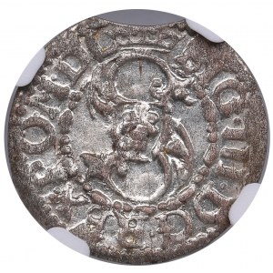 Latvia, City of Riga under Polish rule, BI Schilling / Solidus 1619/8 - Sigismund III Vasa (1587-1632) - NGC MS 65