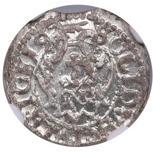 Latvia, City of Riga under Polish rule, BI Schilling / Solidus 1619/8 - Sigismund III Vasa (1587-1632) - NGC MS 65