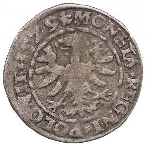 Poland (Kraków) AR Grosz 1529 - Sigismund I the Old (1506-1548)