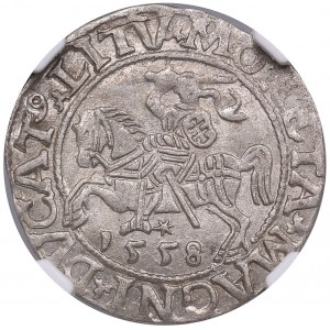 Lithuania, Grand Duchy (Vilnius) AR ½ Groat / Półgrosz 1558 - Sigismund II Augustus (1544-1572) - NGC AU 58