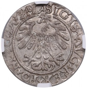 Lithuania, Grand Duchy (Vilnius) AR ½ Groat / Półgrosz 1558 - Sigismund II Augustus (1544-1572) - NGC AU 58
