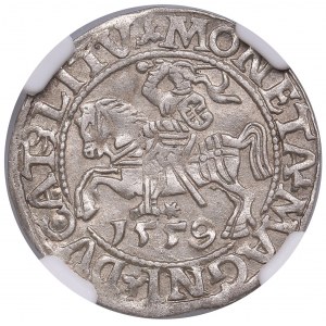 Lithuania, Grand Duchy (Vilnius) AR ½ Groat / Półgrosz 1559 - Sigismund II Augustus (1544-1572) - NGC AU 58