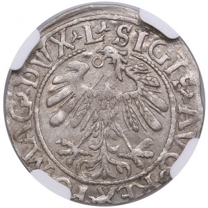 Lithuania, Grand Duchy (Vilnius) AR ½ Groat / Półgrosz 1559 - Sigismund II Augustus (1544-1572) - NGC AU 58