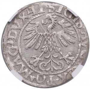 Lithuania, Grand Duchy (Vilnius) AR ½ Groat / Półgrosz 1560 - Sigismund II Augustus (1544-1572) - NGC AU 58