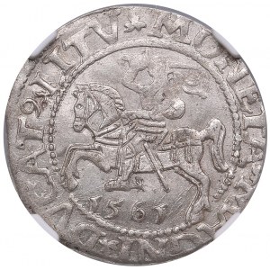 Lithuania, Grand Duchy (Vilnius) AR ½ Groat / Półgrosz 1561 - Sigismund II Augustus (1544-1572) - NGC MS 63