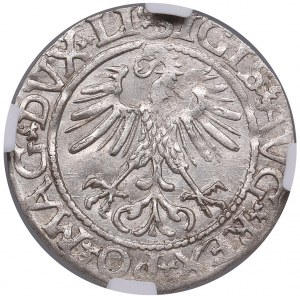 Lithuania, Grand Duchy (Vilnius) AR ½ Groat / Półgrosz 1561 - Sigismund II Augustus (1544-1572) - NGC MS 63