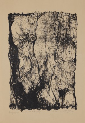 Barbara Zbrożyna, Bez tytułu, 1988
