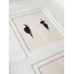 Catherine Dubska, la vénus à la fourrure VII / venus in fur - fingerprint