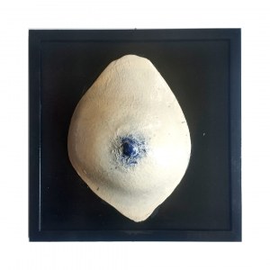 Martyna Zaradkiewicz, celestial bodies/ jestem moja
