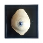 Martyna Zaradkiewicz, celestial bodies/ jestem moja