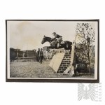 II RP - Photography Cavalry/Hippie competitions