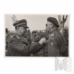 Vezi asemănătoare