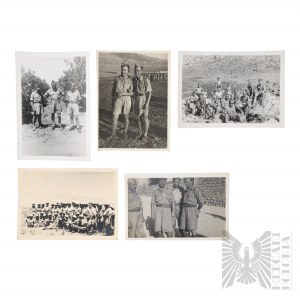 PSZnZ Sada 5 fotografií 2. polského sboru Blízký východ