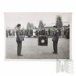 Vezi asemănătoare